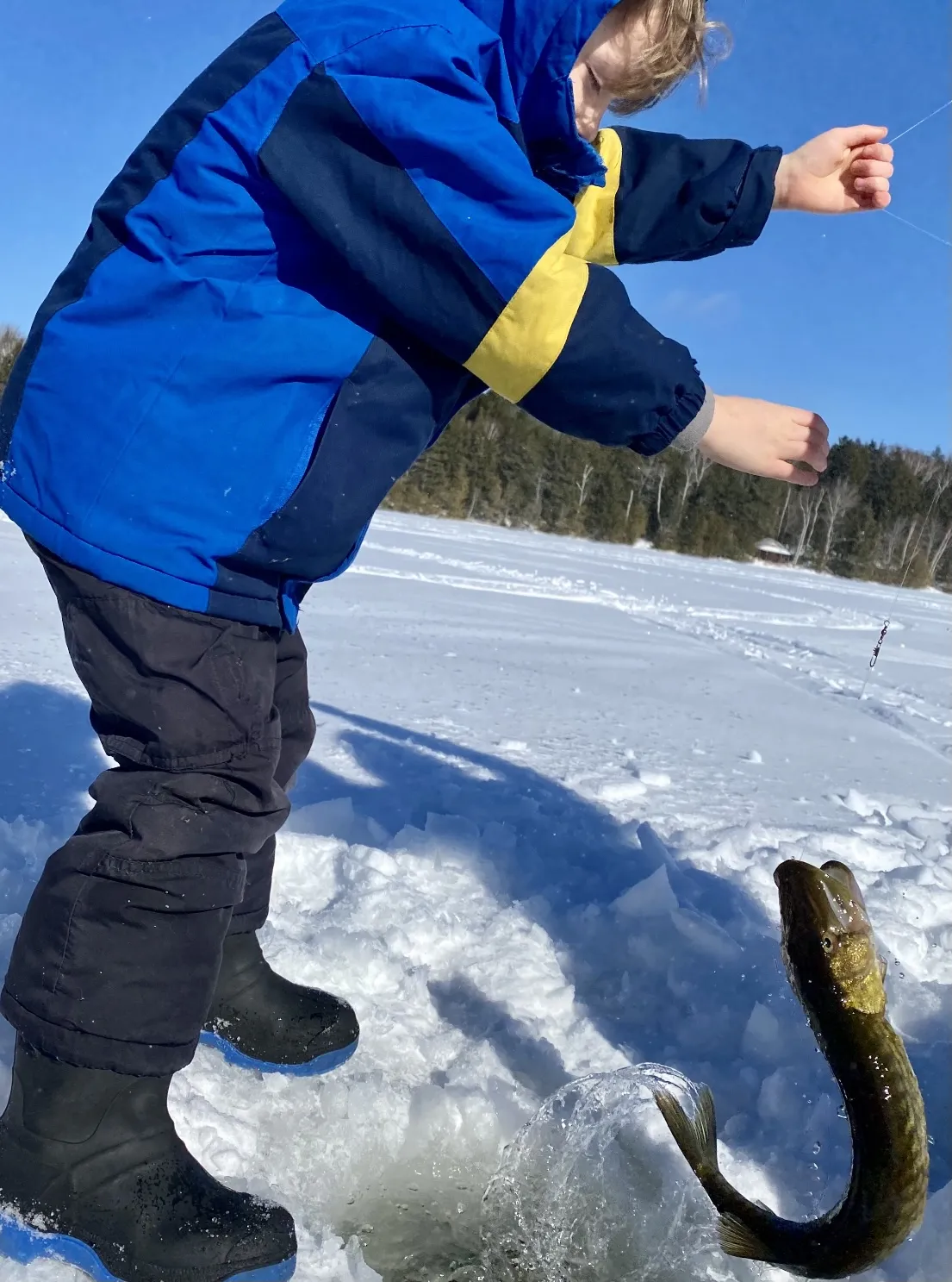 Child ice fishing pickerel