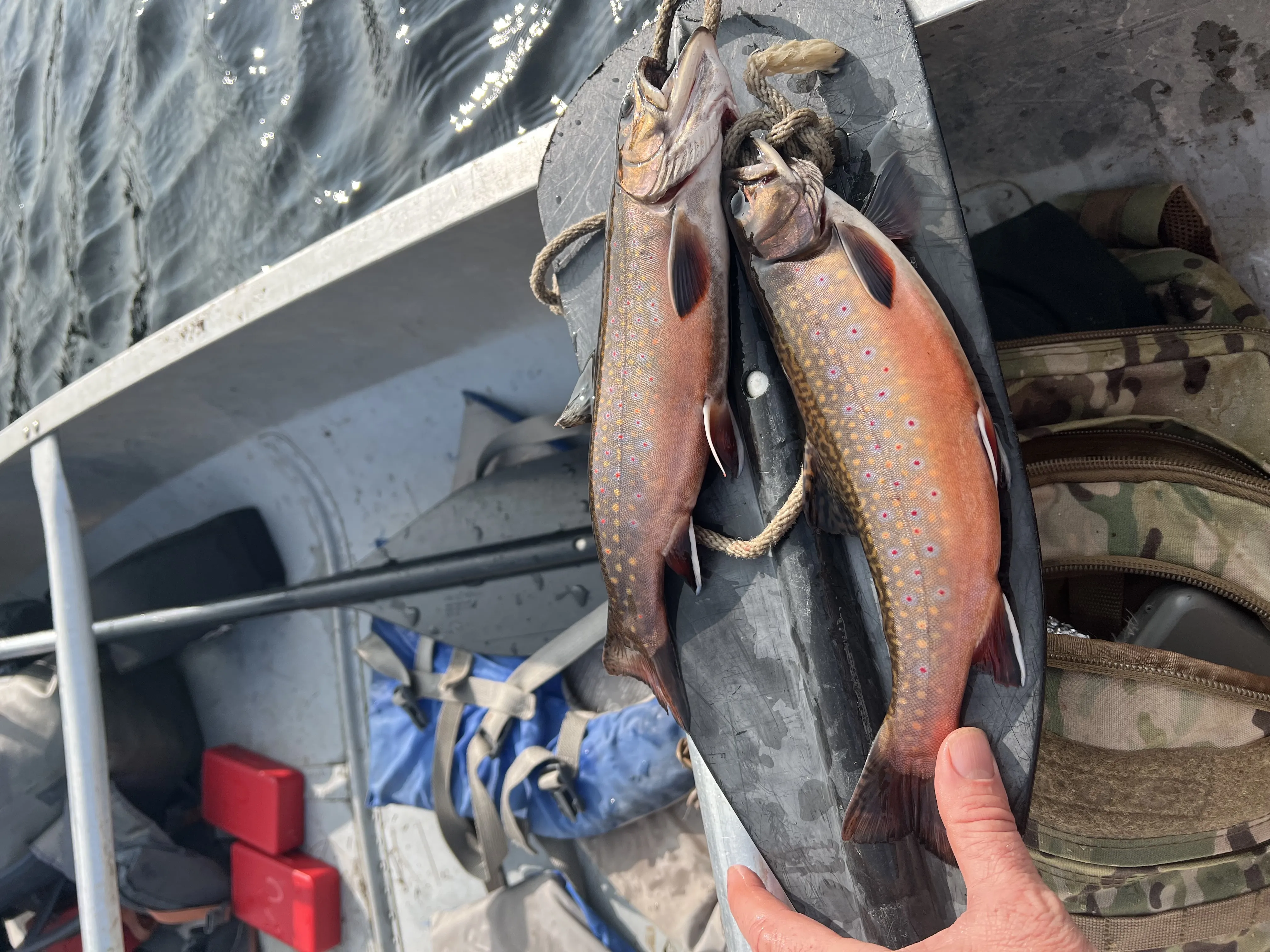 Guided ice fishing trip