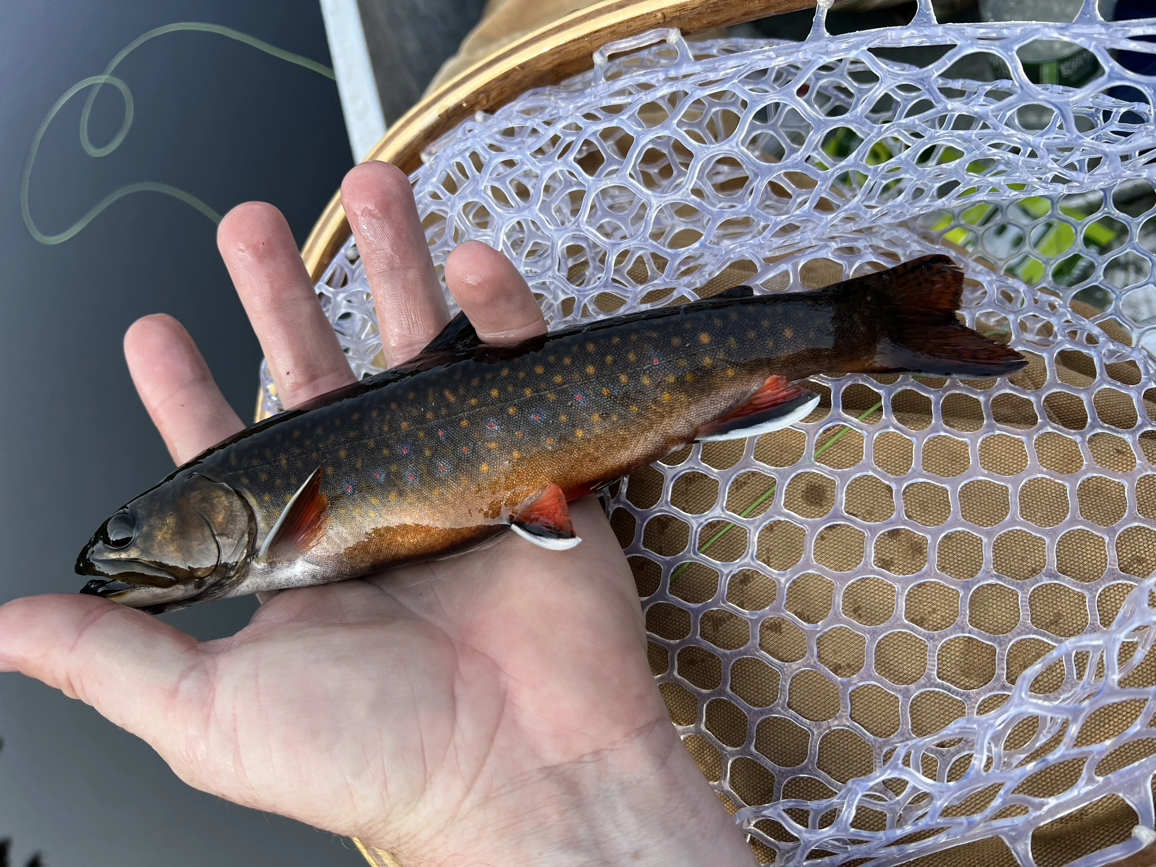 Guided ice fishing trip