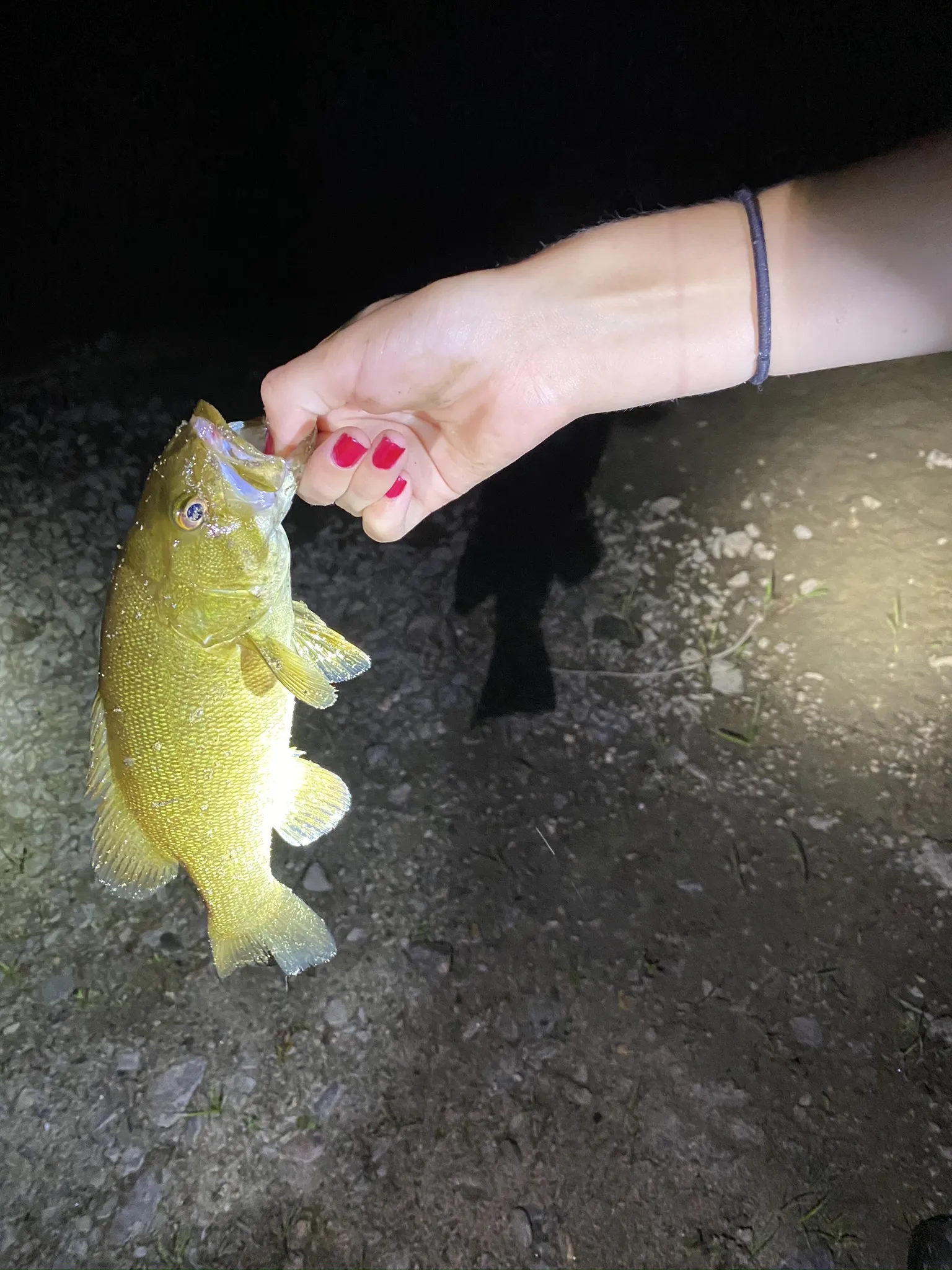 Guided ice fishing trip